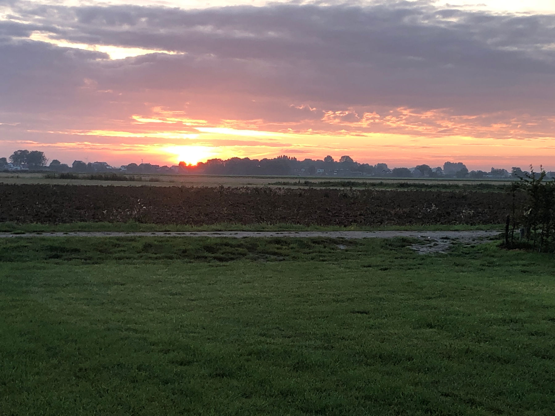 Natuur rond de camping