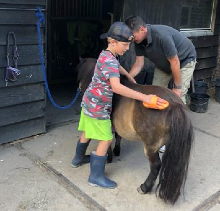 Dieren op het erf van Boerderijcamping Mariëndreef