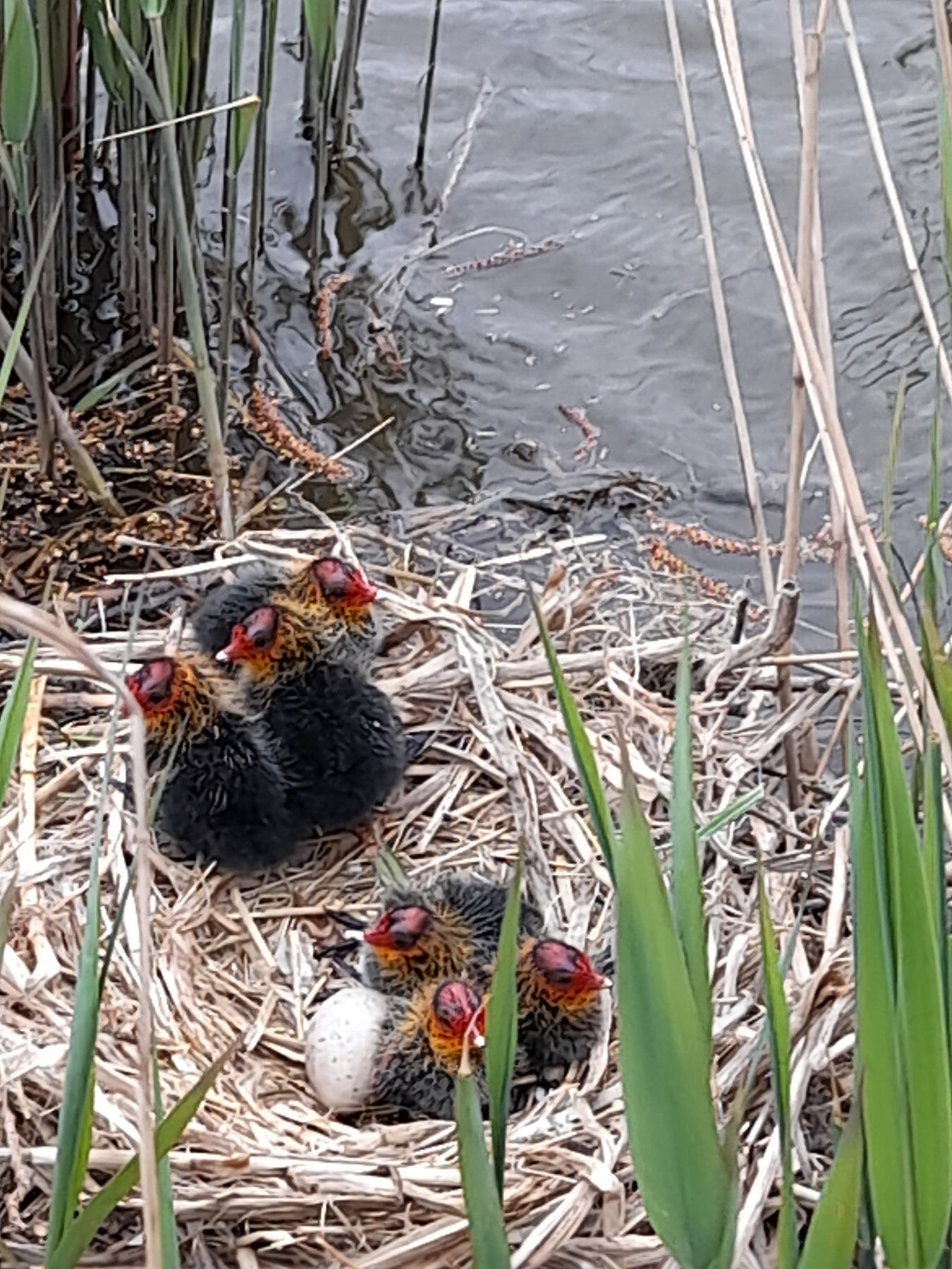 Dijken en buitenwegen rondom Boerderijcamping Mariëndreef