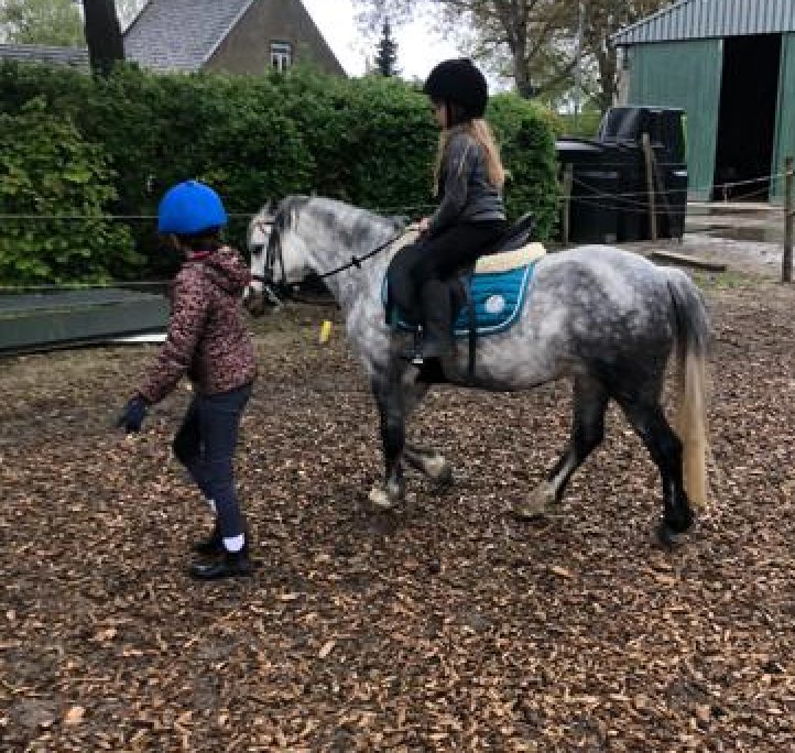 Hobbydieren op de boerderij